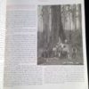 The People’s Forest - SIGNED - The Nook Yamba Second Hand Books